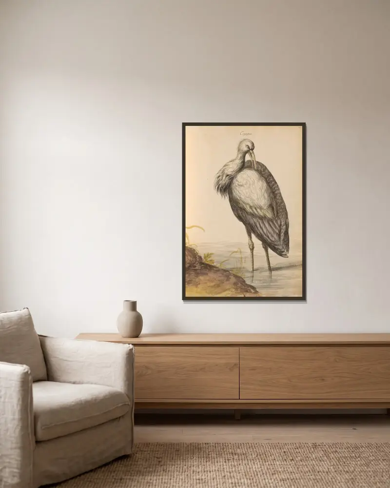 Vögel aus der königlichen Menagerie Taf. 57 von Pieter Boel gerahmt an einer Wand