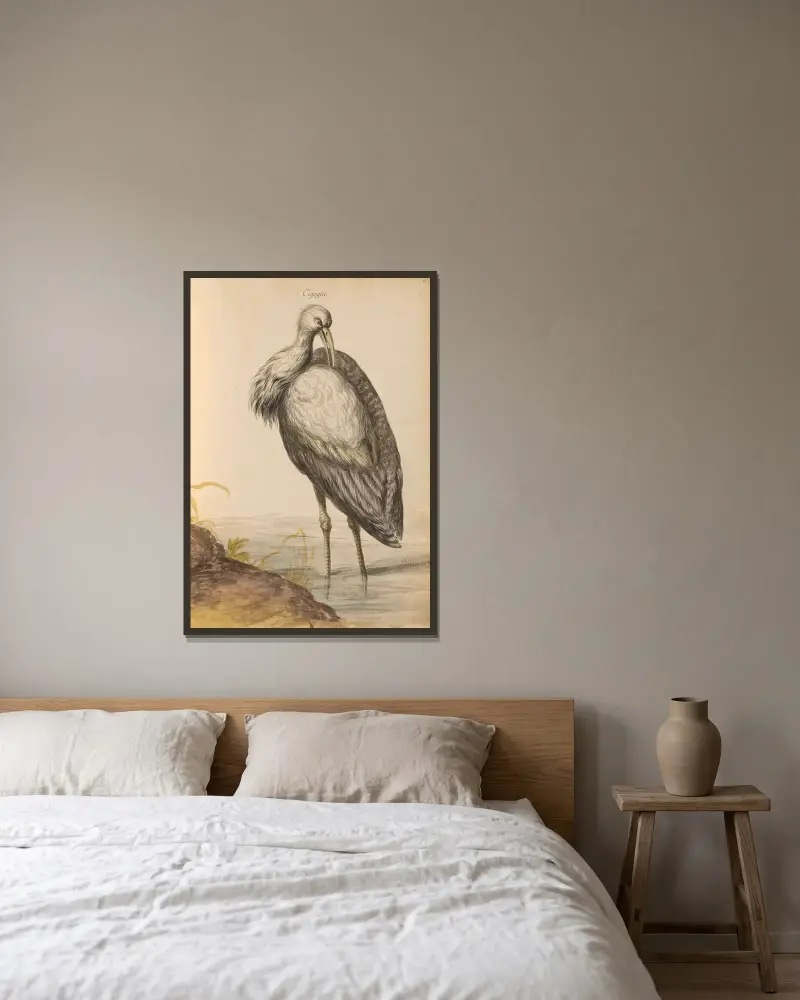 Vögel aus der königlichen Menagerie Taf. 57 von Pieter Boel gerahmt an einer Wand