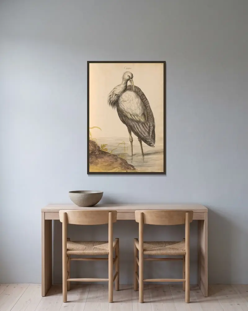 Vögel aus der königlichen Menagerie Taf. 57 von Pieter Boel gerahmt an einer Wand