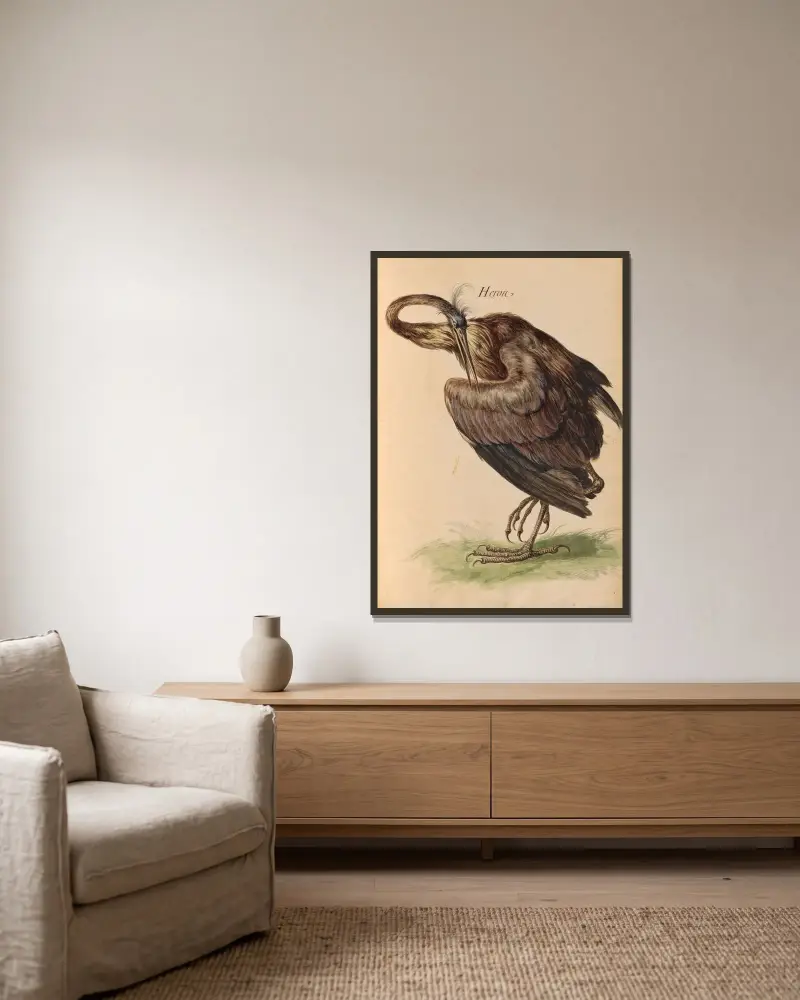 Vögel aus der königlichen Menagerie Pl. 58 von Pieter Boel gerahmt an einer Wand