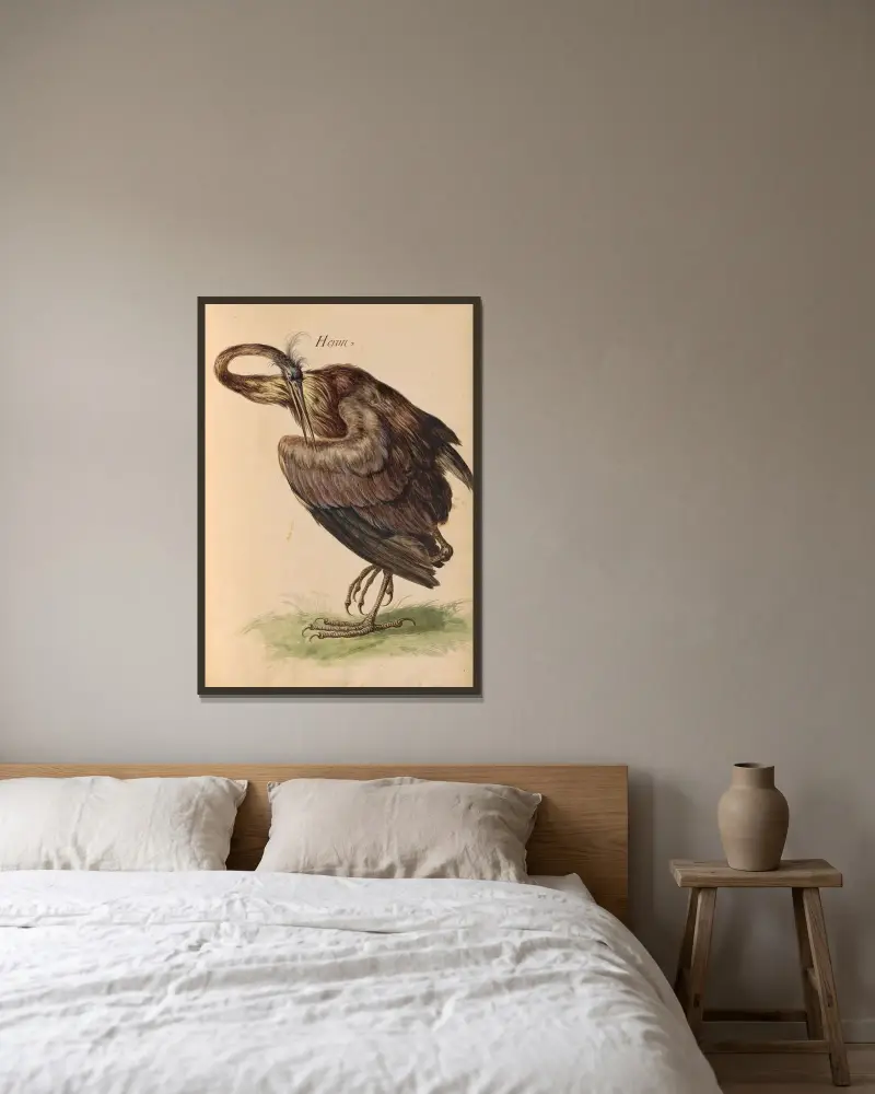 Vögel aus der königlichen Menagerie Pl. 58 von Pieter Boel gerahmt an einer Wand