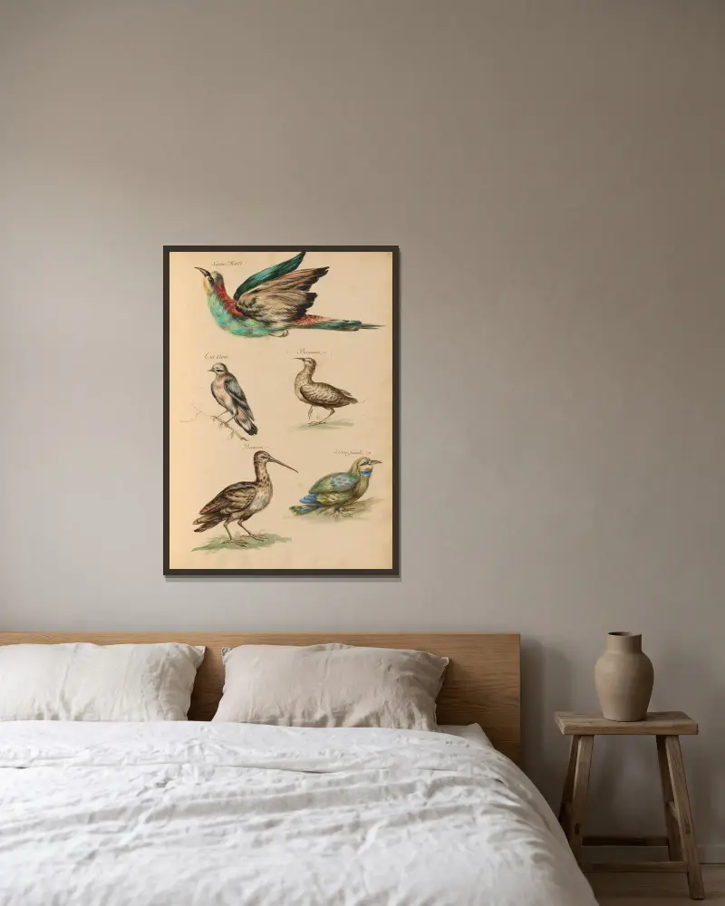 Oiseaux de la Ménagerie du Roi Pl.59 av Pieter Boel inramad på en vägg