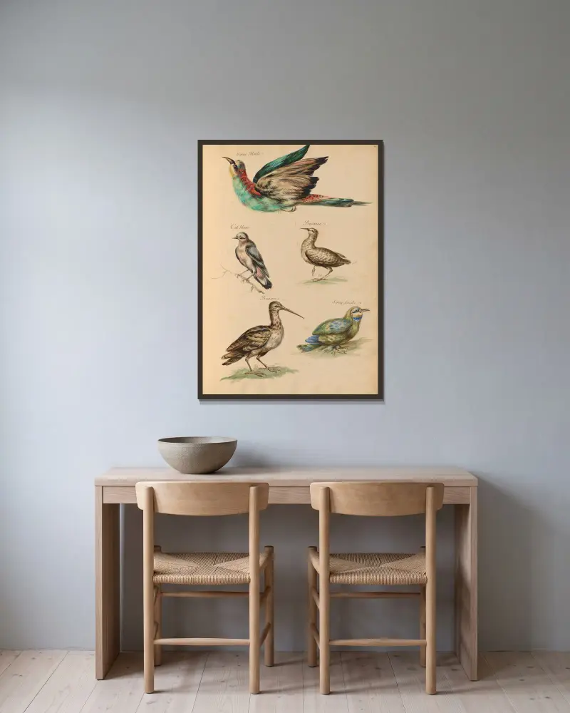 Oiseaux de la Ménagerie du Roi Pl.59 av Pieter Boel inramad på en vägg