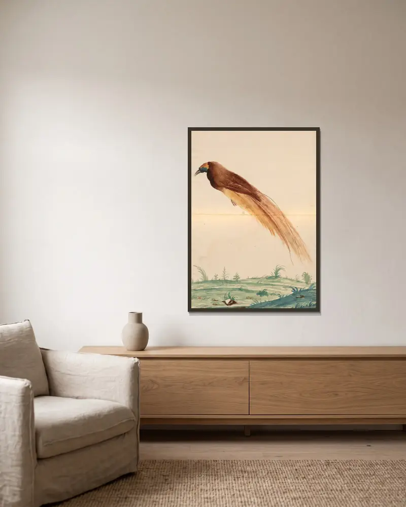 Vögel aus der Menagerie des Königs, Tafel 60 von Pieter Boel gerahmt an einer Wand