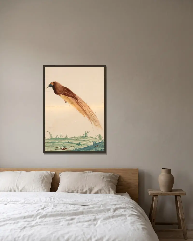 Vögel aus der Menagerie des Königs, Tafel 60 von Pieter Boel gerahmt an einer Wand