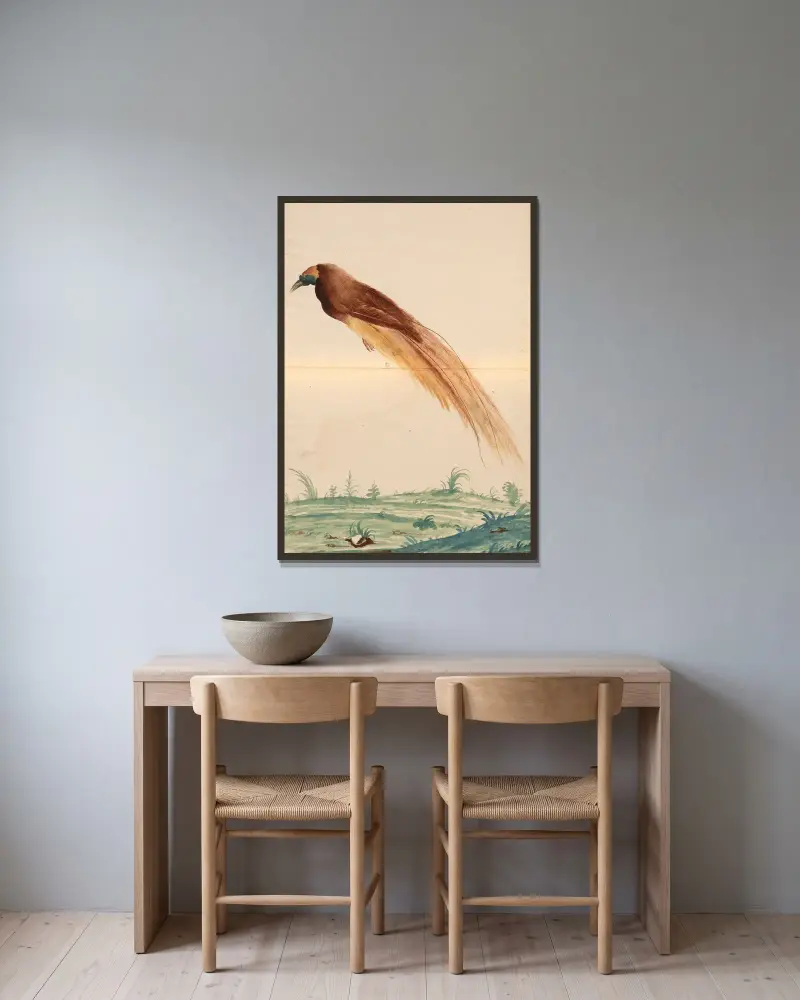 Vögel aus der Menagerie des Königs, Tafel 60 von Pieter Boel gerahmt an einer Wand
