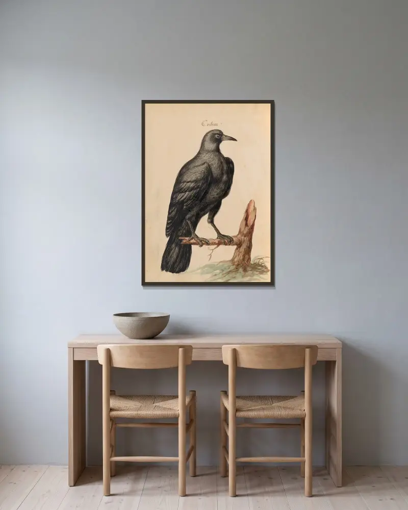 Fåglar från kungens menageri, plansch 61 av Pieter Boel inramad på en vägg