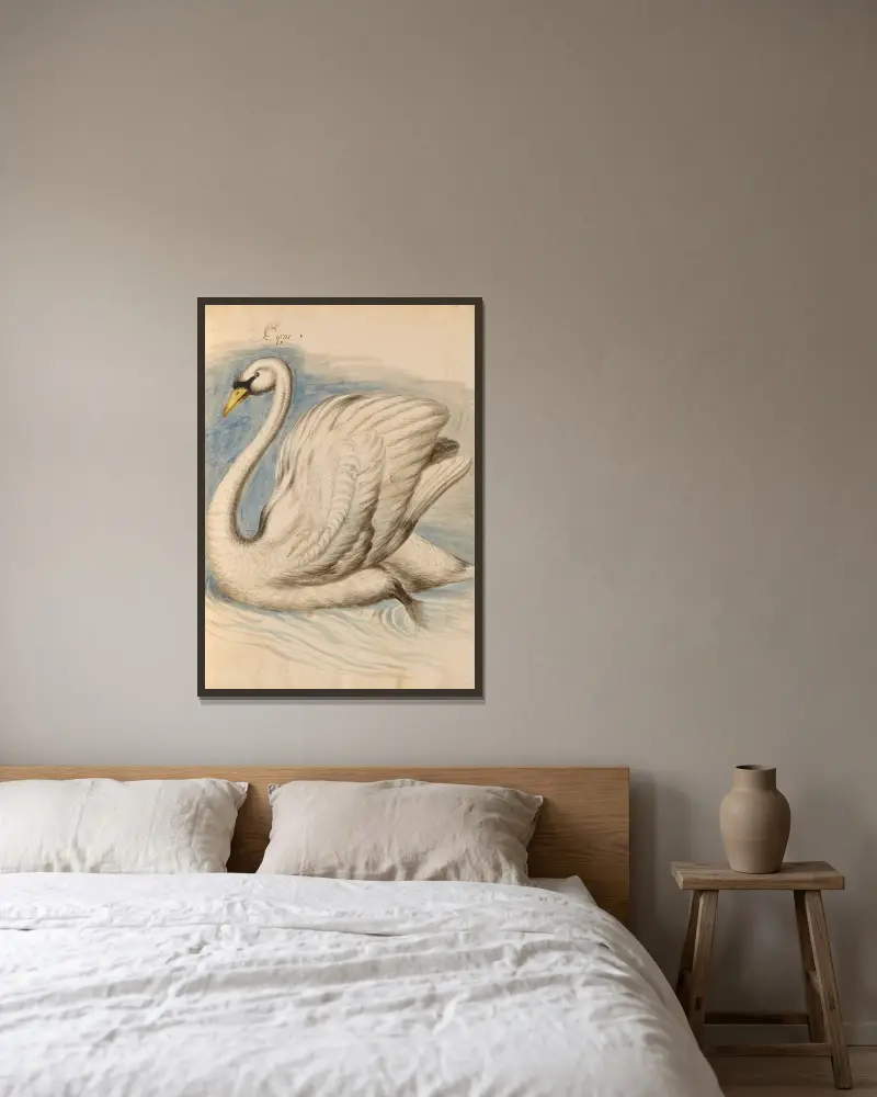 Oiseaux de la Ménagerie du Roi Pl.62 av Pieter Boel inramad på en vägg