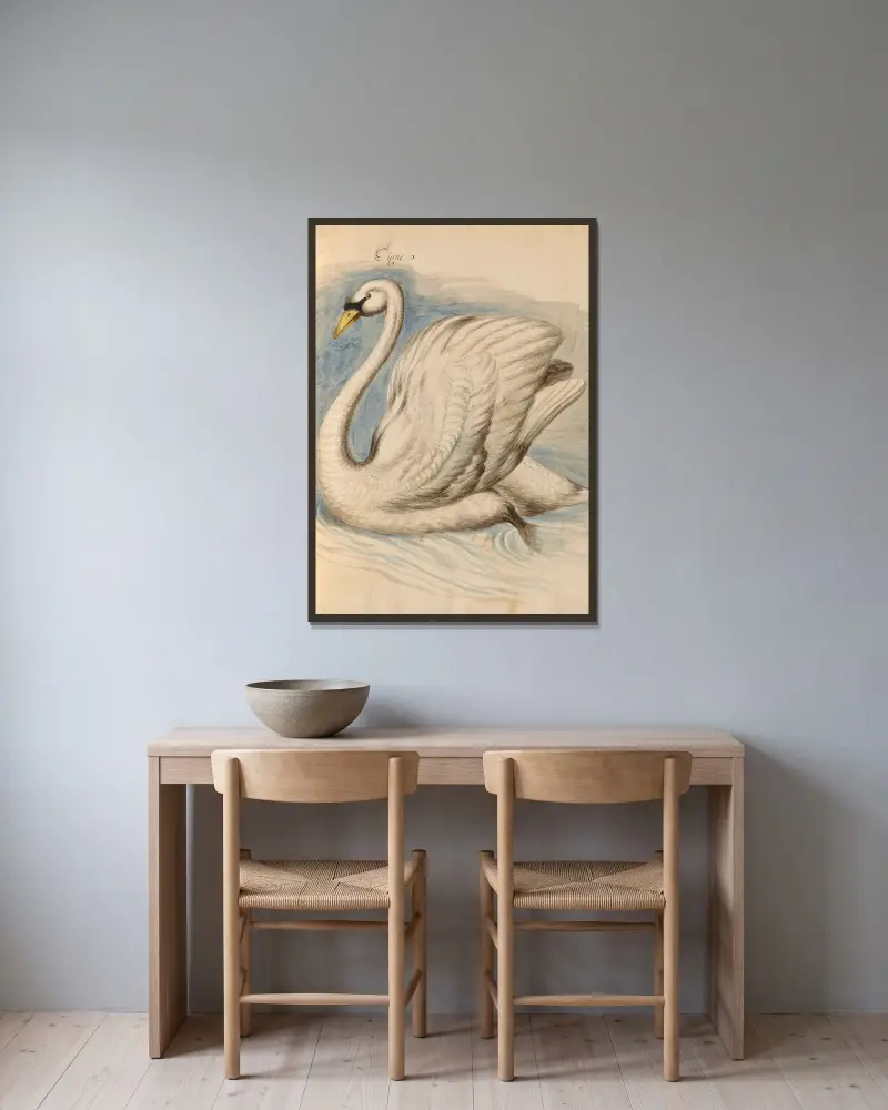 Oiseaux de la Ménagerie du Roi Pl.62 av Pieter Boel inramad på en vägg