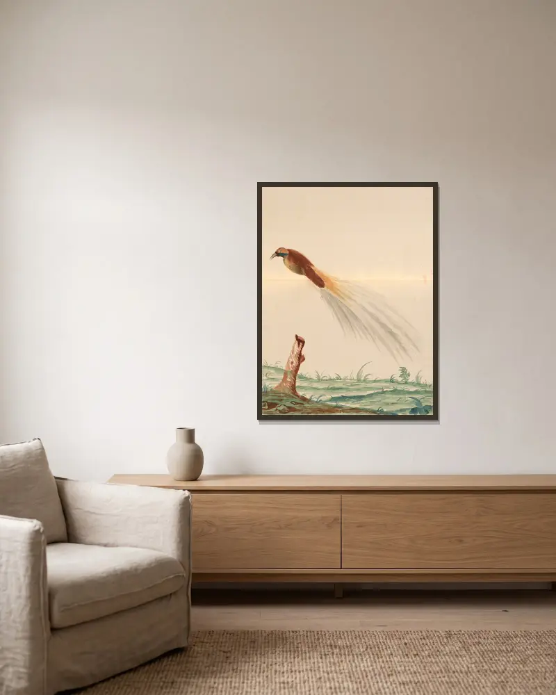 Oiseaux de la Ménagerie du Roi Pl.63 av Pieter Boel inramad på en vägg