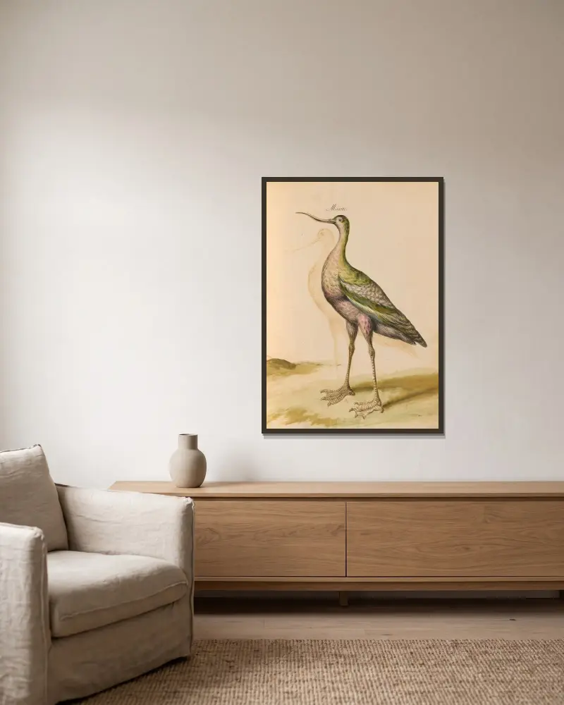 Vögel aus der Menagerie des Königs, Tafel 65 von Pieter Boel gerahmt an einer Wand