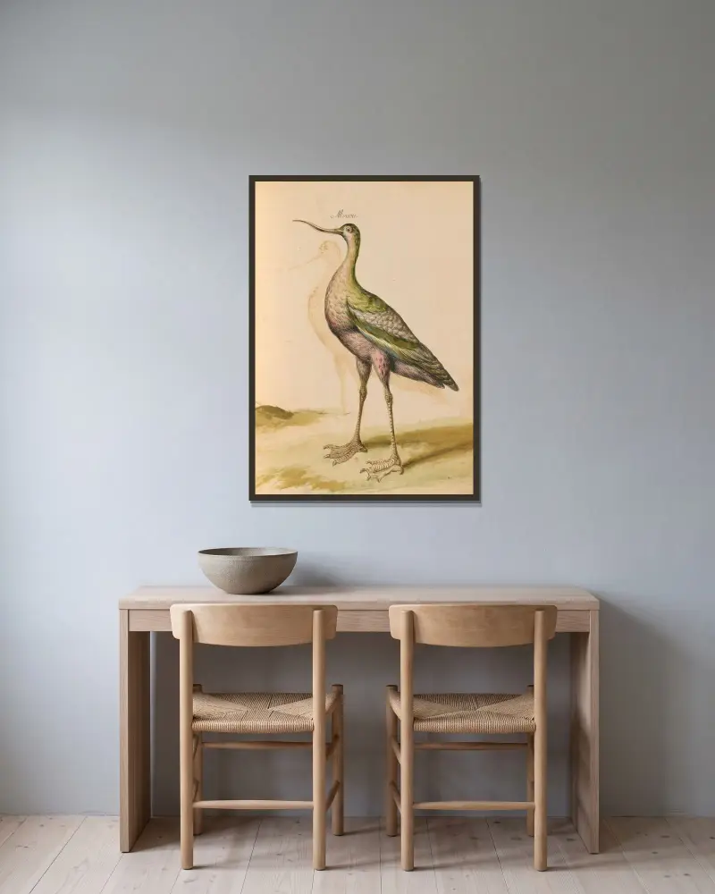 Vögel aus der Menagerie des Königs, Tafel 65 von Pieter Boel gerahmt an einer Wand