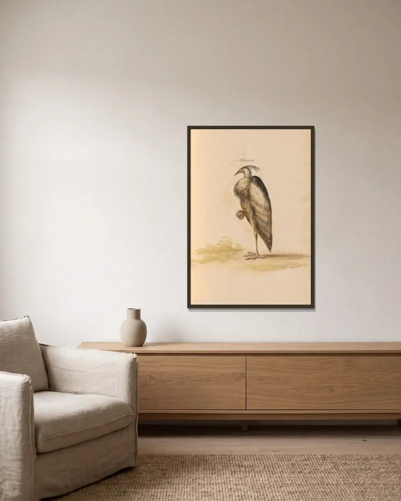 Vögel aus der königlichen Menagerie Pl. 67 von Pieter Boel gerahmt an einer Wand