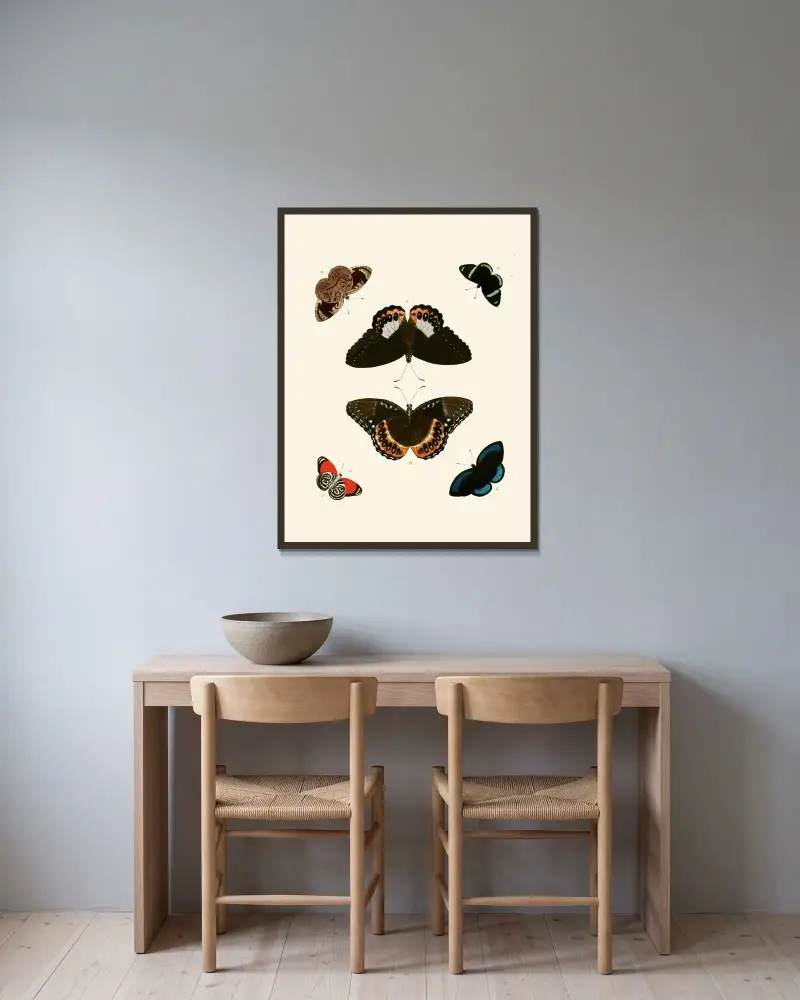 Ausländische Schmetterlinge aus den drei Weltteilen Asien, Afrika und Amerika Tafel 24 von Pieter Cramer gerahmt an einer Wand