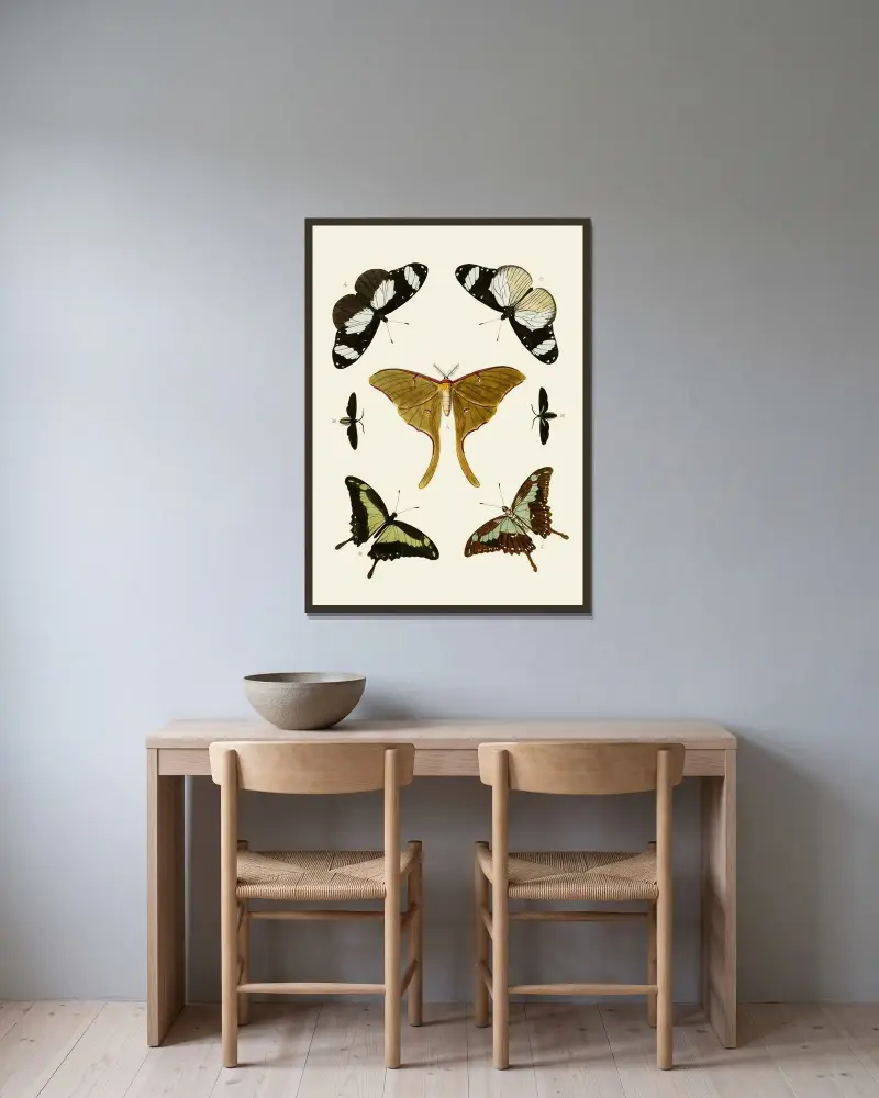Die ausländischen Schmetterlinge, die in den drei Weltteilen Asien, Afrika und Amerika vorkommen, Tafel 02 von Pieter Cramer gerahmt an einer Wand