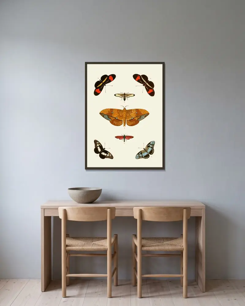 Ausländische Schmetterlinge, vorkommend in den drei Weltteilen Asien, Afrika und Amerika, Tafel 45 von Pieter Cramer gerahmt an einer Wand