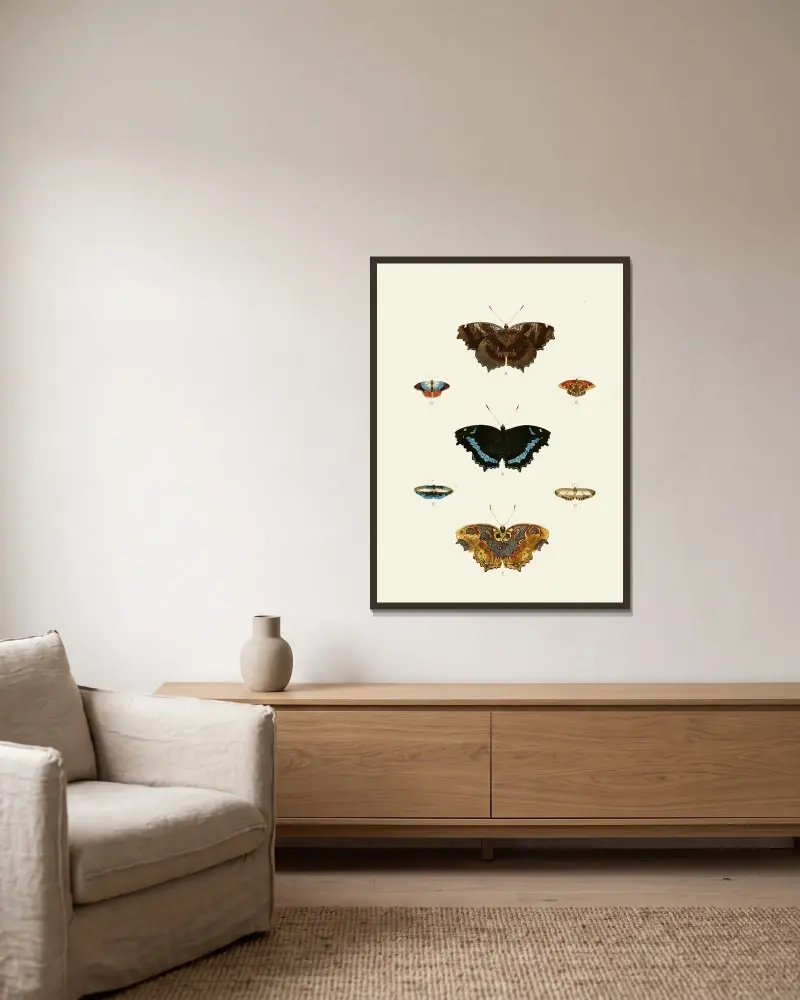 De uitlandsche kapellen voorkomende in de drie waereld-deelen, Asia, Africa en America pl47 av Pieter Cramer inramad på en vägg