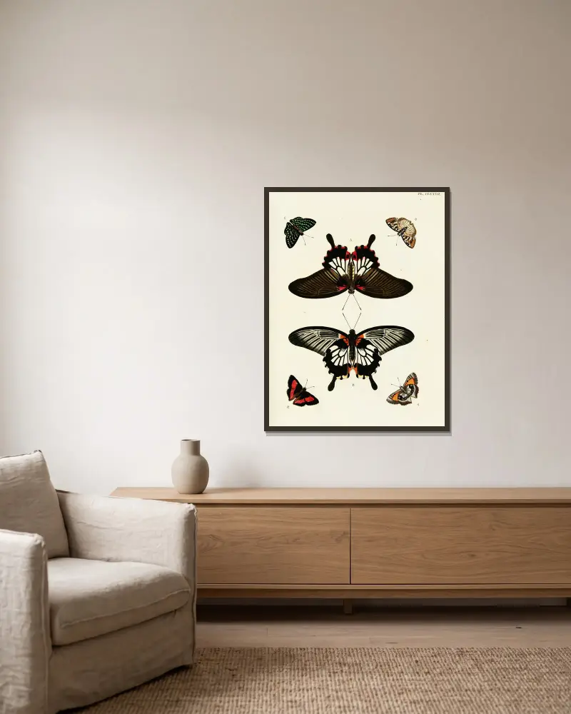 Foreign butterflies occurring in the three continents Asia, Africa and America Pl.429 av Pieter Cramer inramad på en vägg