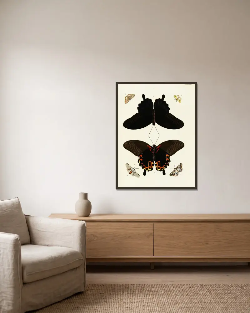Foreign butterflies occurring in the three continents Asia, Africa and America Pl.428 av Pieter Cramer inramad på en vägg
