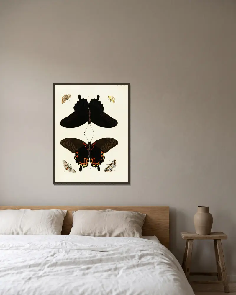 Foreign butterflies occurring in the three continents Asia, Africa and America Pl.428 av Pieter Cramer inramad på en vägg