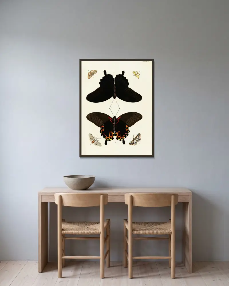 Foreign butterflies occurring in the three continents Asia, Africa and America Pl.428 av Pieter Cramer inramad på en vägg