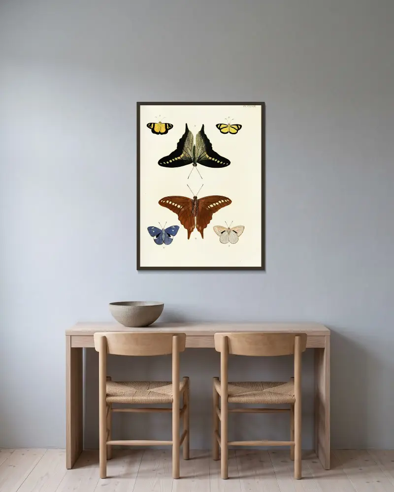 Foreign butterflies occurring in the three continents Asia, Africa and America Pl.426 av Pieter Cramer inramad på en vägg