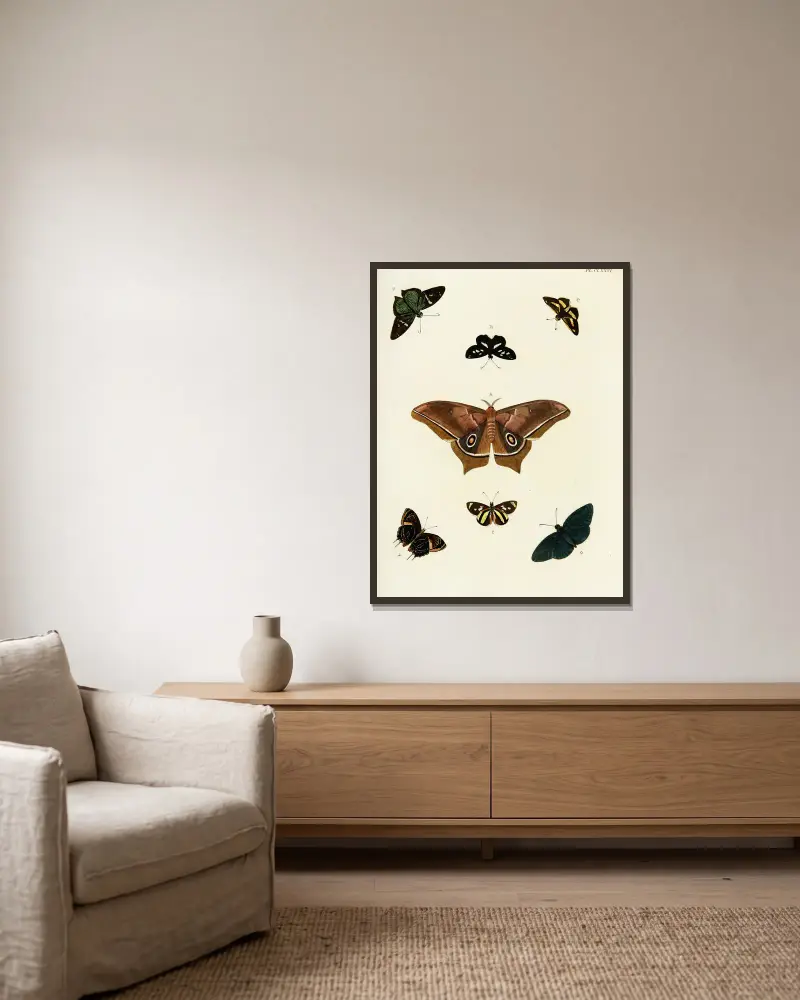 Foreign butterflies occurring in the three continents Asia, Africa and America Pl.423 av Pieter Cramer inramad på en vägg