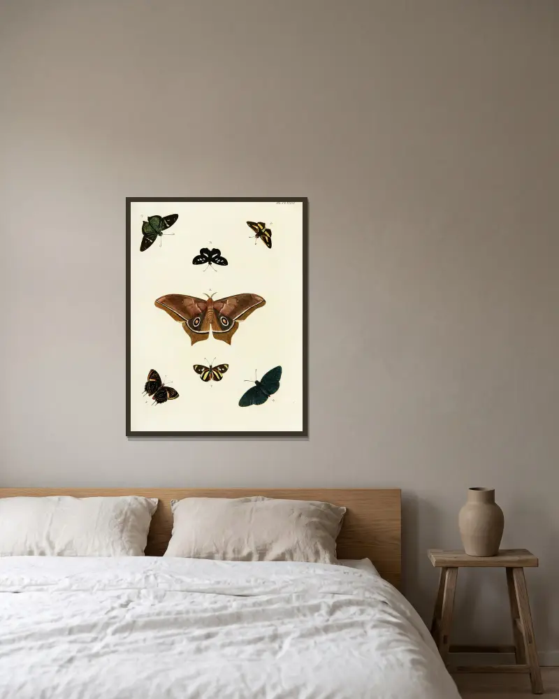 Foreign butterflies occurring in the three continents Asia, Africa and America Pl.423 av Pieter Cramer inramad på en vägg