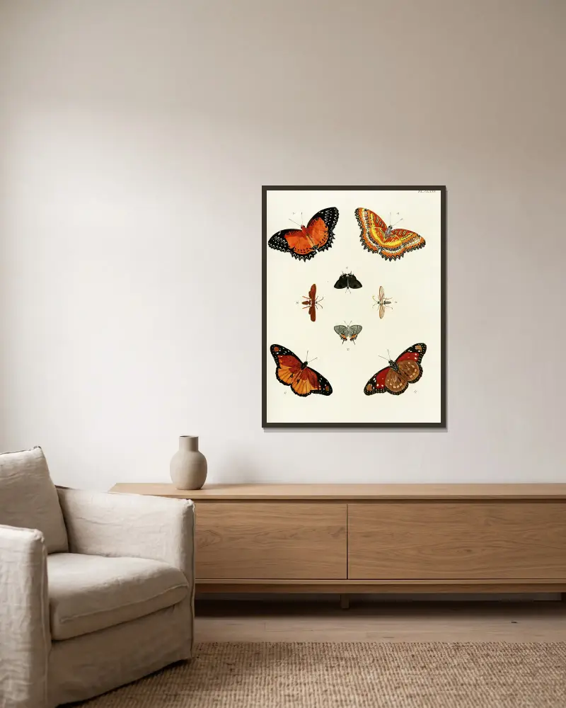 Foreign butterflies occurring in the three continents Asia, Africa and America Pl.422 av Pieter Cramer inramad på en vägg