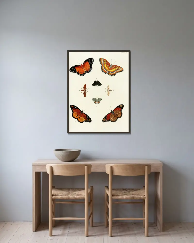 Foreign butterflies occurring in the three continents Asia, Africa and America Pl.422 av Pieter Cramer inramad på en vägg