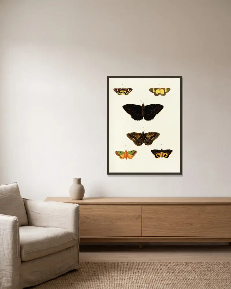 Foreign butterflies occurring in the three continents Asia, Africa and America Pl.419 av Pieter Cramer inramad på en vägg