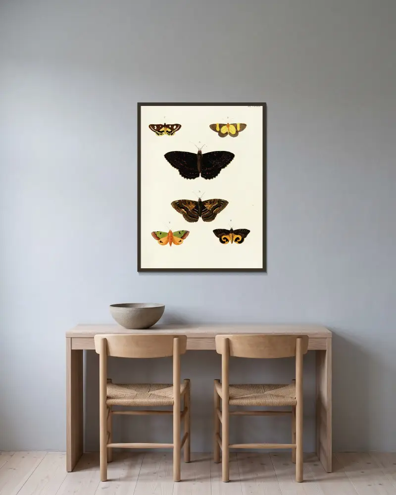 Foreign butterflies occurring in the three continents Asia, Africa and America Pl.419 av Pieter Cramer inramad på en vägg