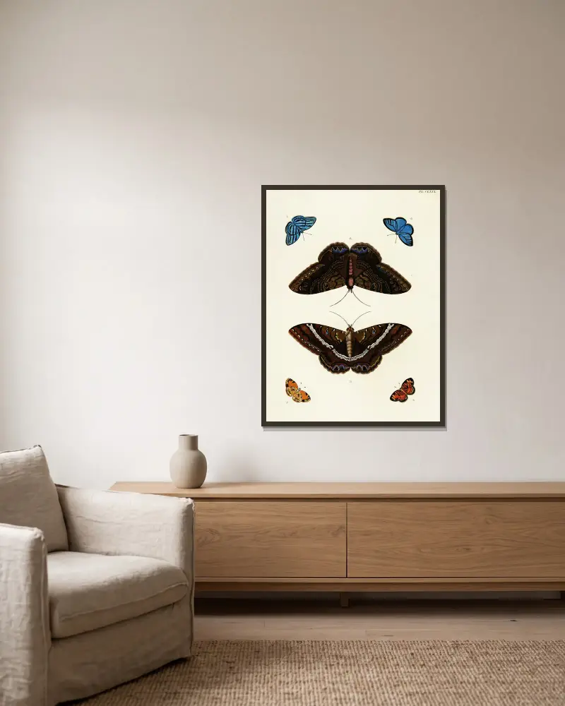 Foreign butterflies occurring in the three continents Asia, Africa and America Pl.416 av Pieter Cramer inramad på en vägg