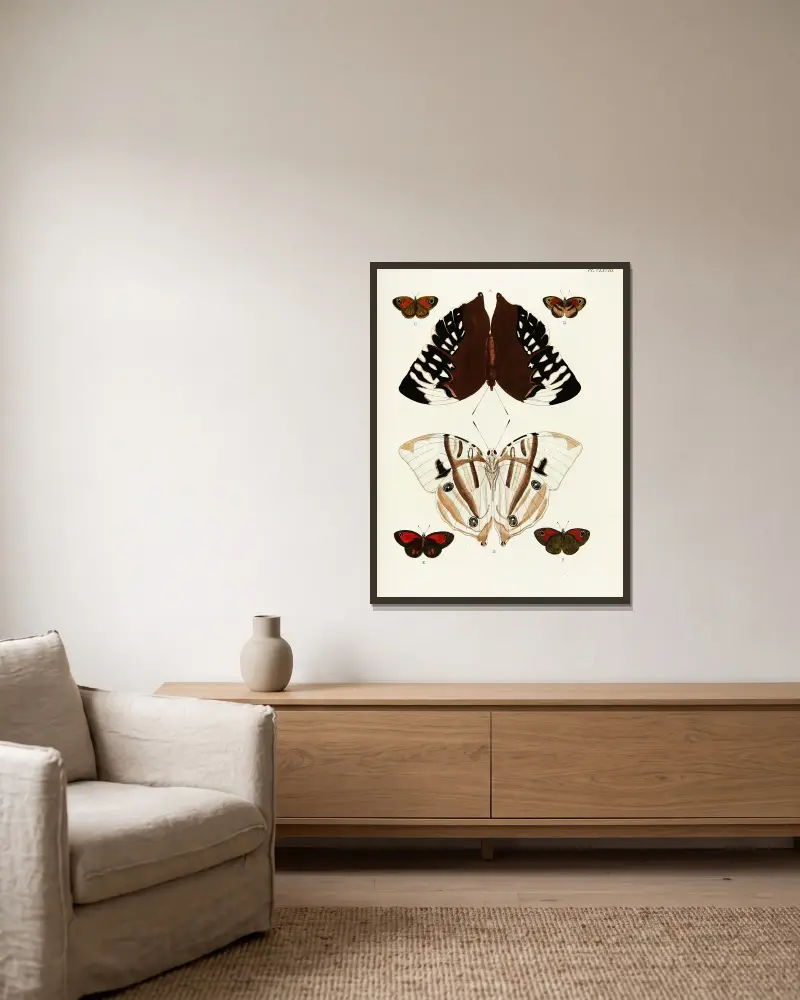 Foreign butterflies occurring in the three continents Asia, Africa and America Pl.415 av Pieter Cramer inramad på en vägg