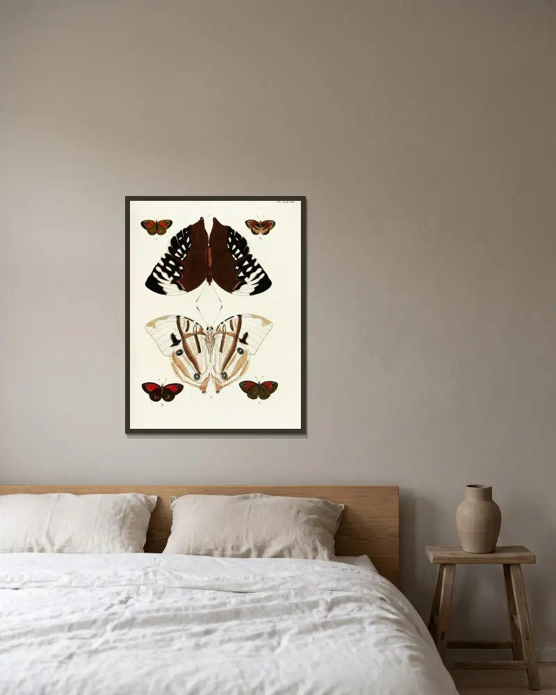 Foreign butterflies occurring in the three continents Asia, Africa and America Pl.415 av Pieter Cramer inramad på en vägg