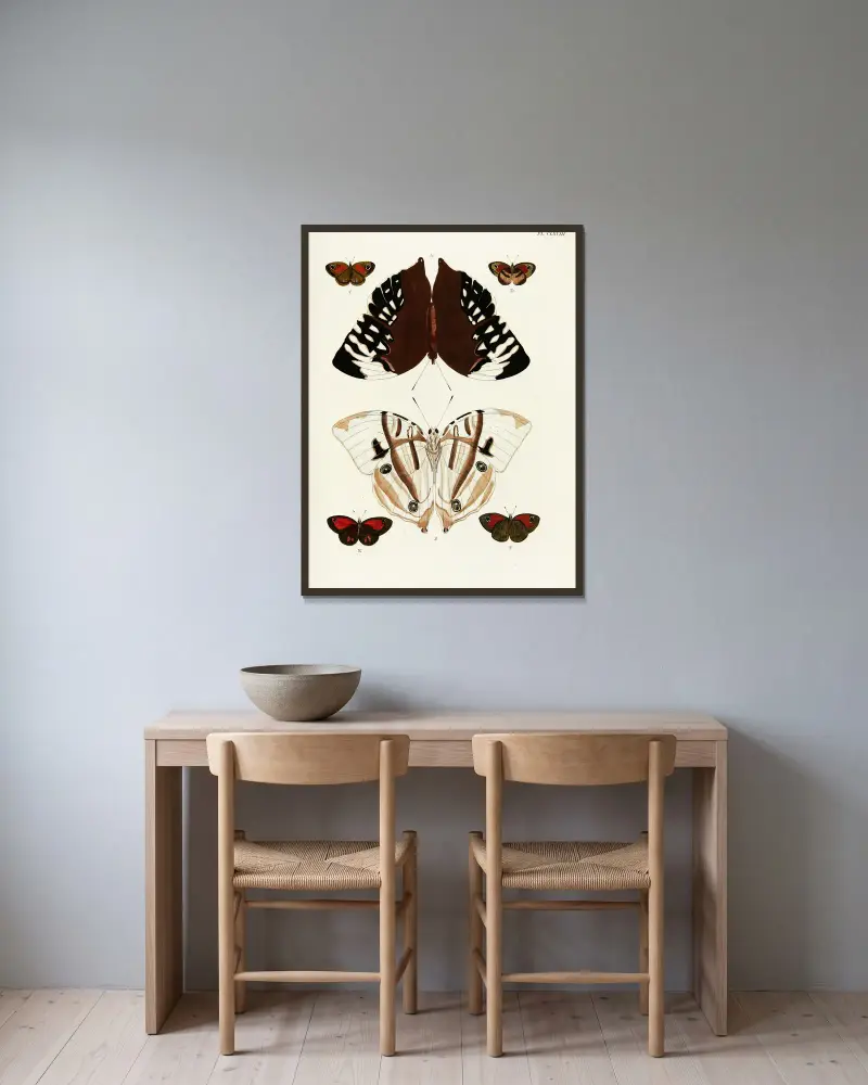 Foreign butterflies occurring in the three continents Asia, Africa and America Pl.415 av Pieter Cramer inramad på en vägg