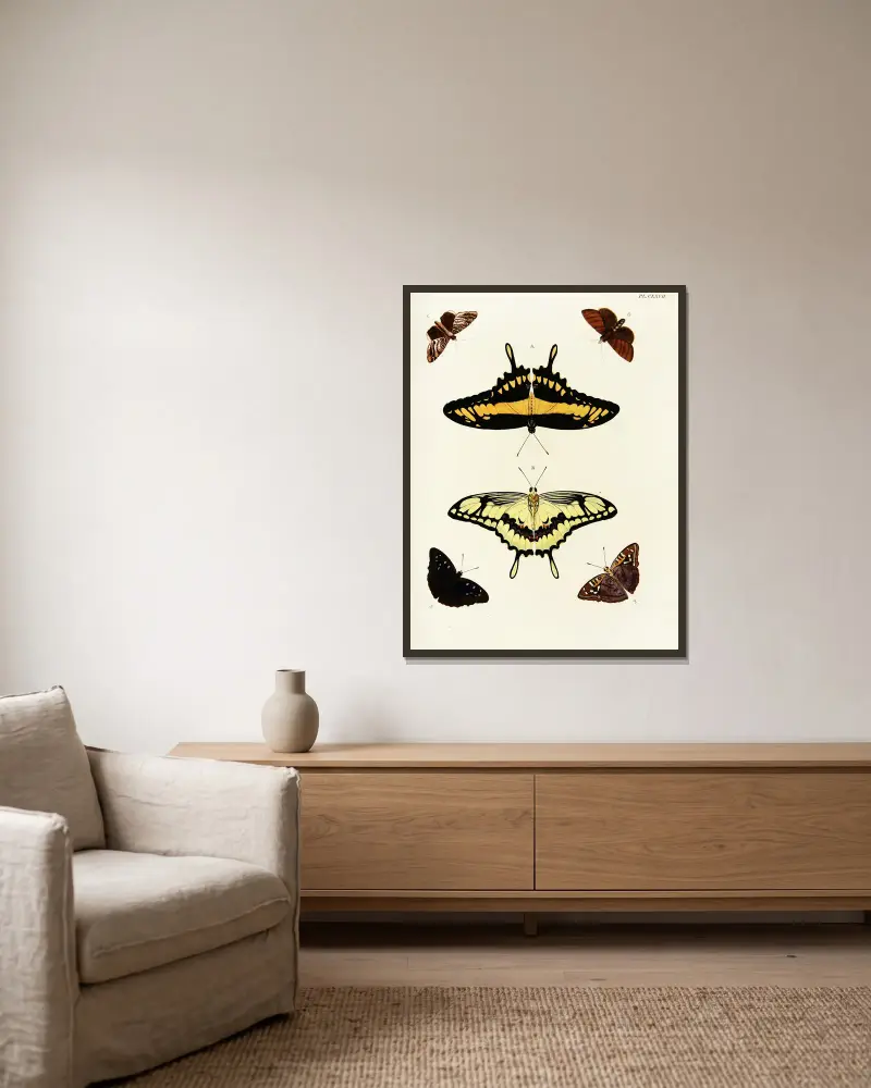 Foreign butterflies occurring in the three continents Asia, Africa and America Pl.414 av Pieter Cramer inramad på en vägg