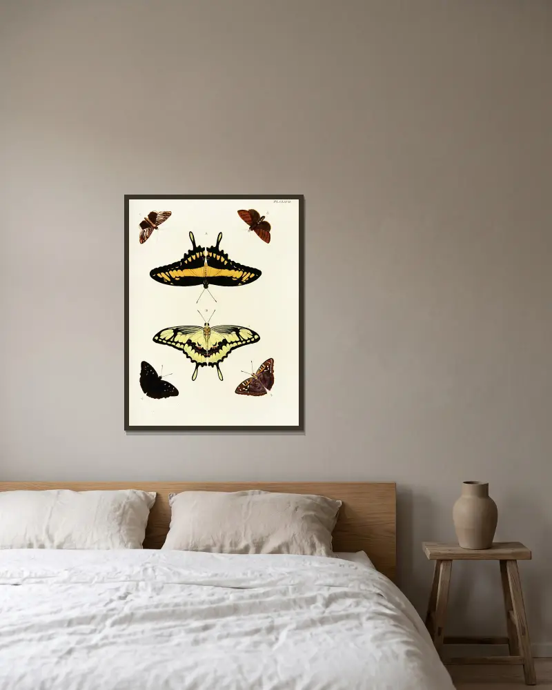 Foreign butterflies occurring in the three continents Asia, Africa and America Pl.414 av Pieter Cramer inramad på en vägg