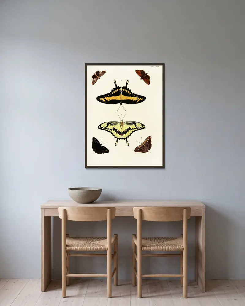 Foreign butterflies occurring in the three continents Asia, Africa and America Pl.414 av Pieter Cramer inramad på en vägg
