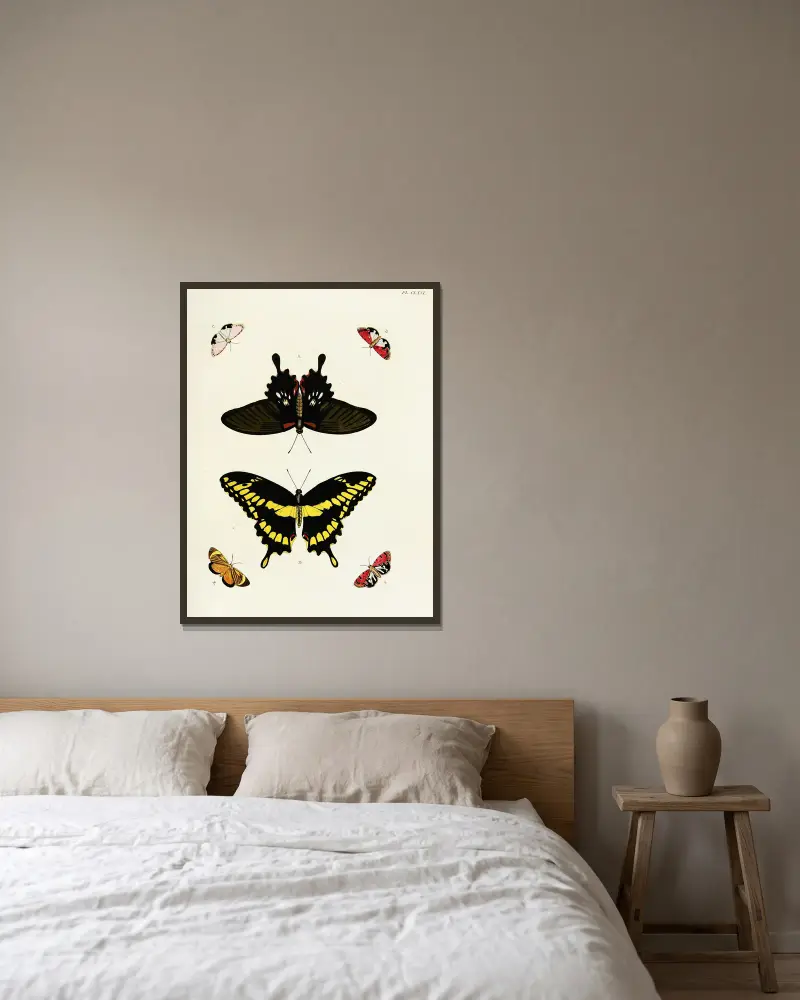 Foreign butterflies occurring in the three continents Asia, Africa and America Pl.413 av Pieter Cramer inramad på en vägg