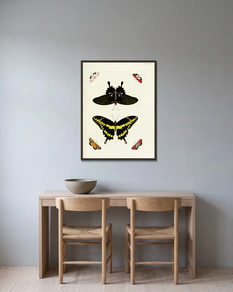 Foreign butterflies occurring in the three continents Asia, Africa and America Pl.413 av Pieter Cramer inramad på en vägg