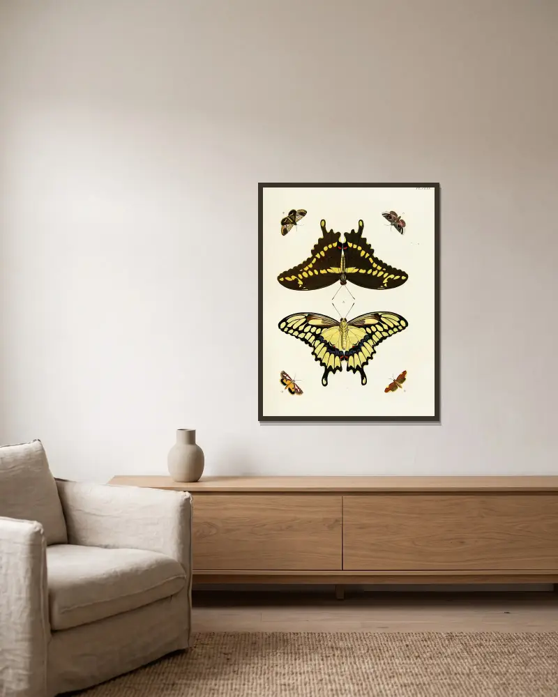 Foreign butterflies occurring in the three continents Asia, Africa and America Pl.412 av Pieter Cramer inramad på en vägg