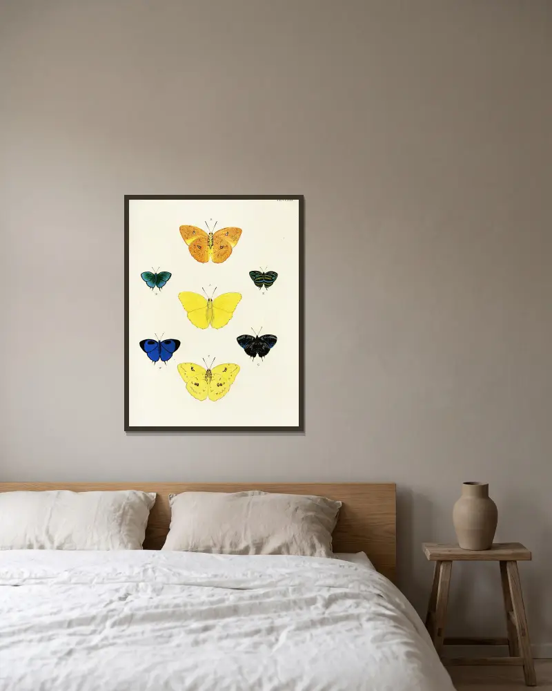 Foreign butterflies occurring in the three continents Asia, Africa and America Pl.410 av Pieter Cramer inramad på en vägg