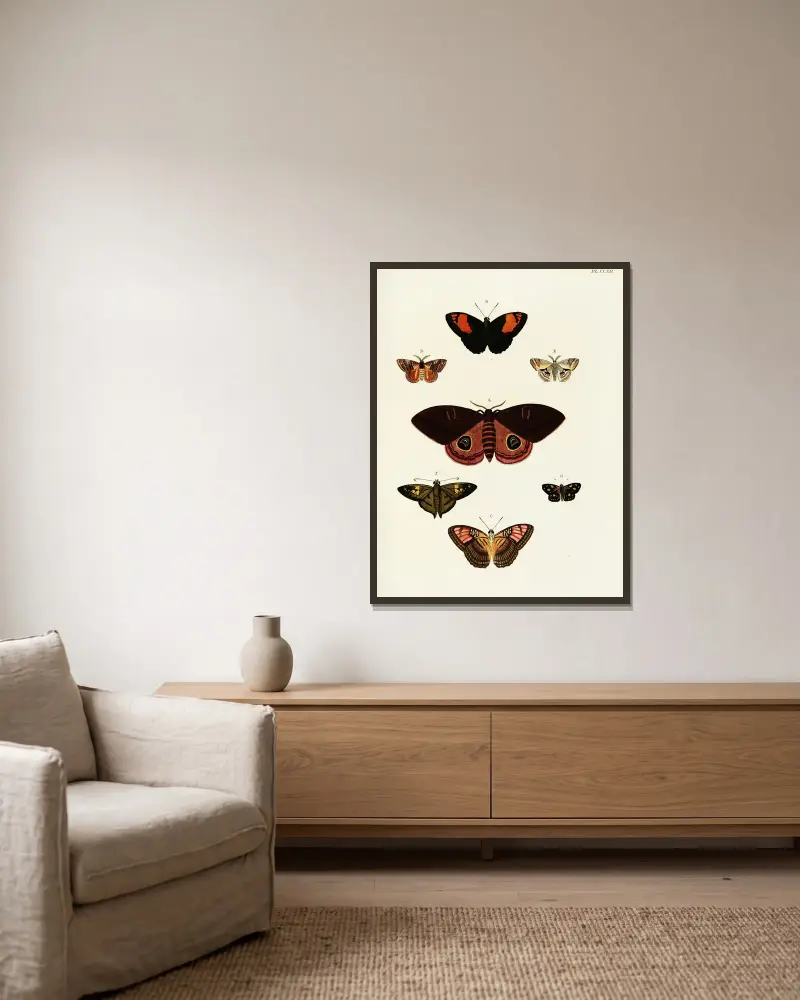 Foreign butterflies occurring in the three continents Asia, Africa and America Pl.409 av Pieter Cramer inramad på en vägg