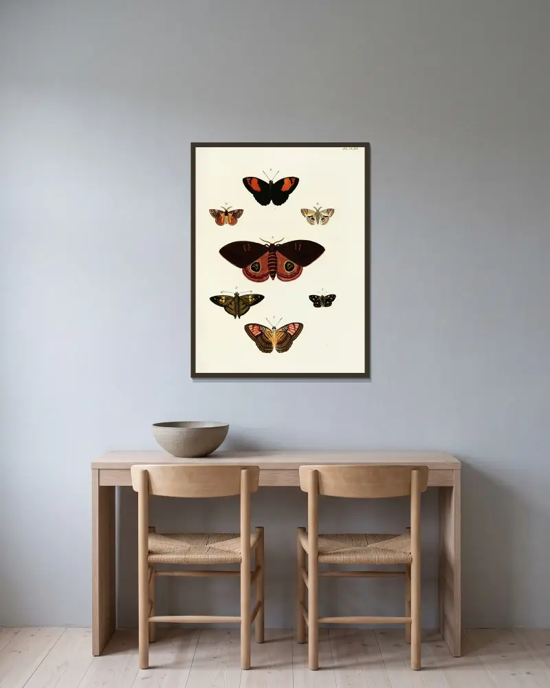 Foreign butterflies occurring in the three continents Asia, Africa and America Pl.409 av Pieter Cramer inramad på en vägg