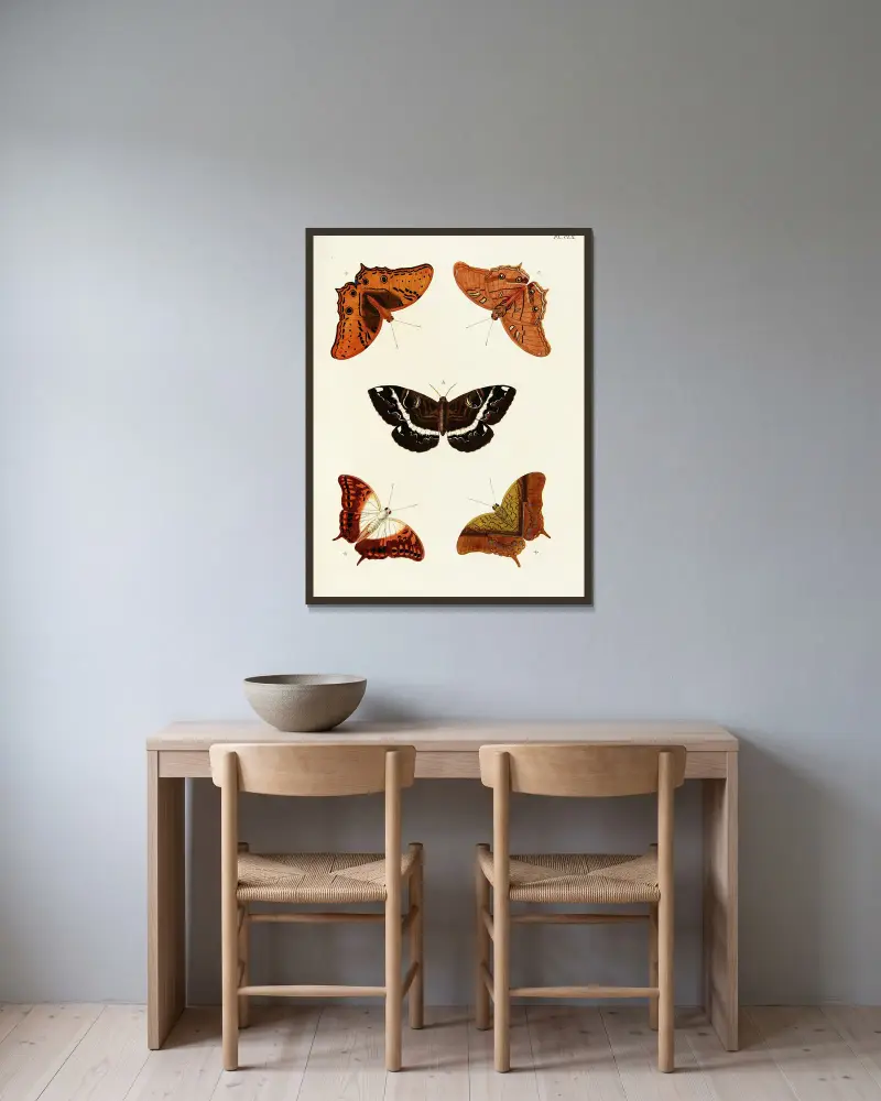 Foreign butterflies occurring in the three continents Asia, Africa and America Pl.407 av Pieter Cramer inramad på en vägg