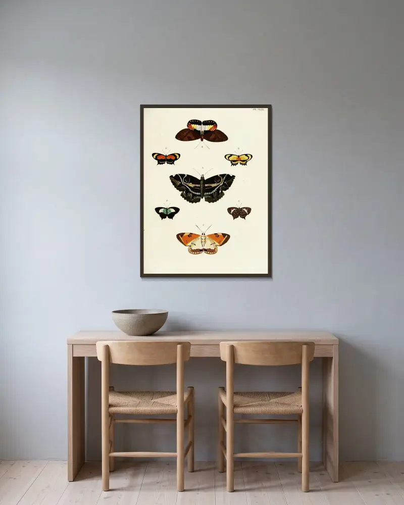 Foreign butterflies occurring in the three continents Asia, Africa and America Pl.406 av Pieter Cramer inramad på en vägg
