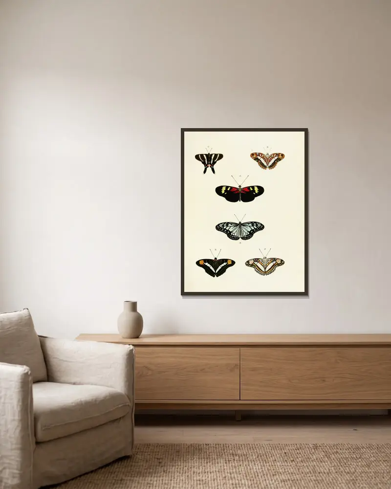 Foreign butterflies occurring in the three continents Asia, Africa and America Pl.435 av Pieter Cramer inramad på en vägg