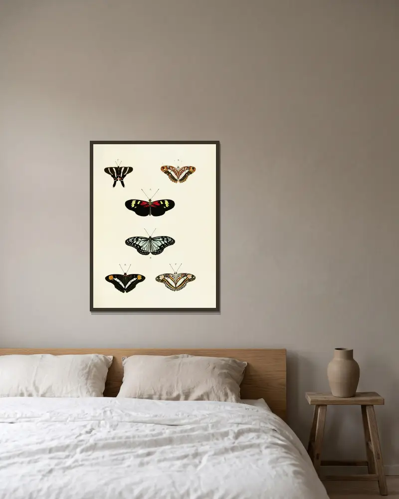 Foreign butterflies occurring in the three continents Asia, Africa and America Pl.435 av Pieter Cramer inramad på en vägg