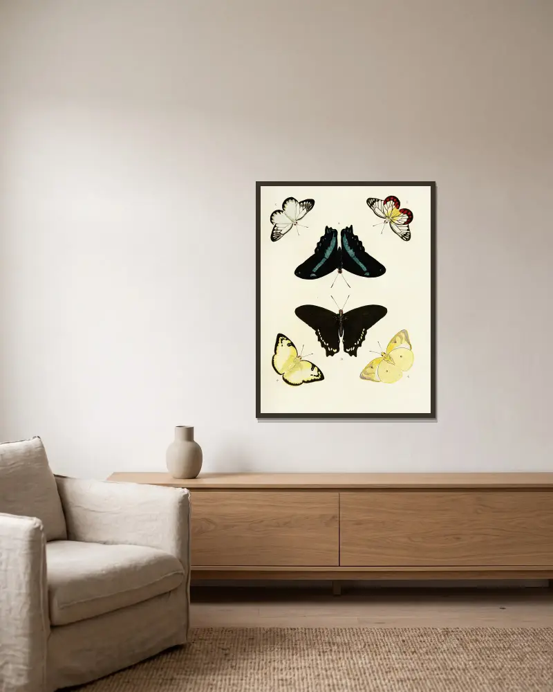 Foreign butterflies occurring in the three continents Asia, Africa and America Pl.434 av Pieter Cramer inramad på en vägg